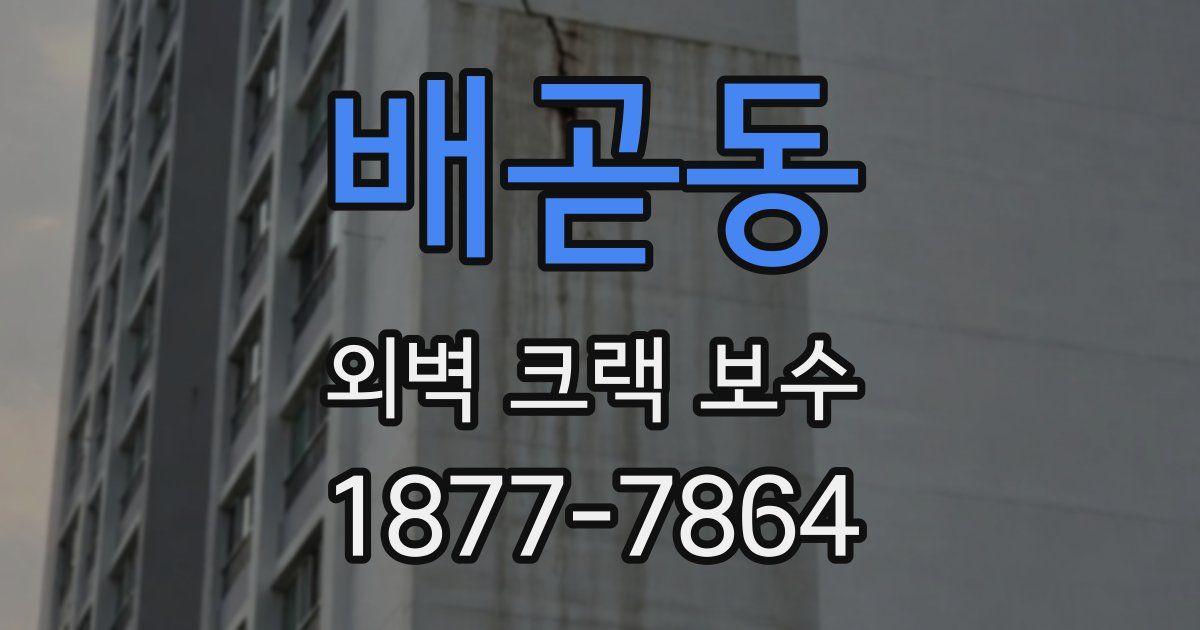 배곧동 외벽 크랙 보수