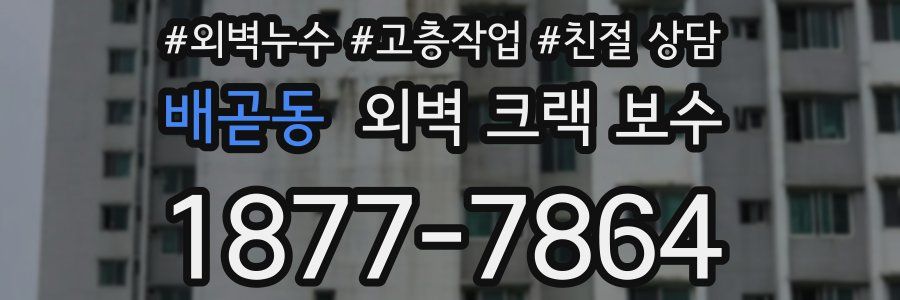 배곧동 외벽 크랙 보수