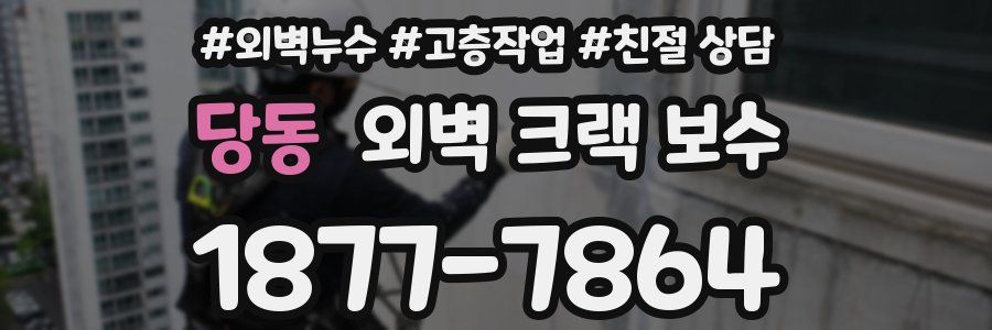 당동 외벽 크랙 보수