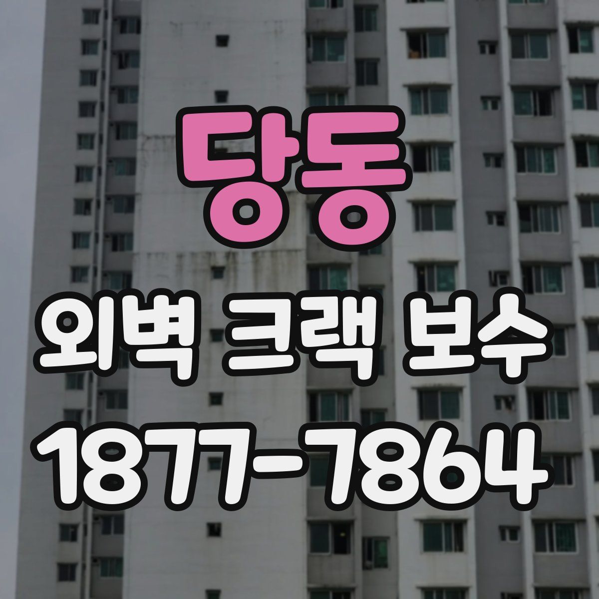 당동 외벽 크랙 보수