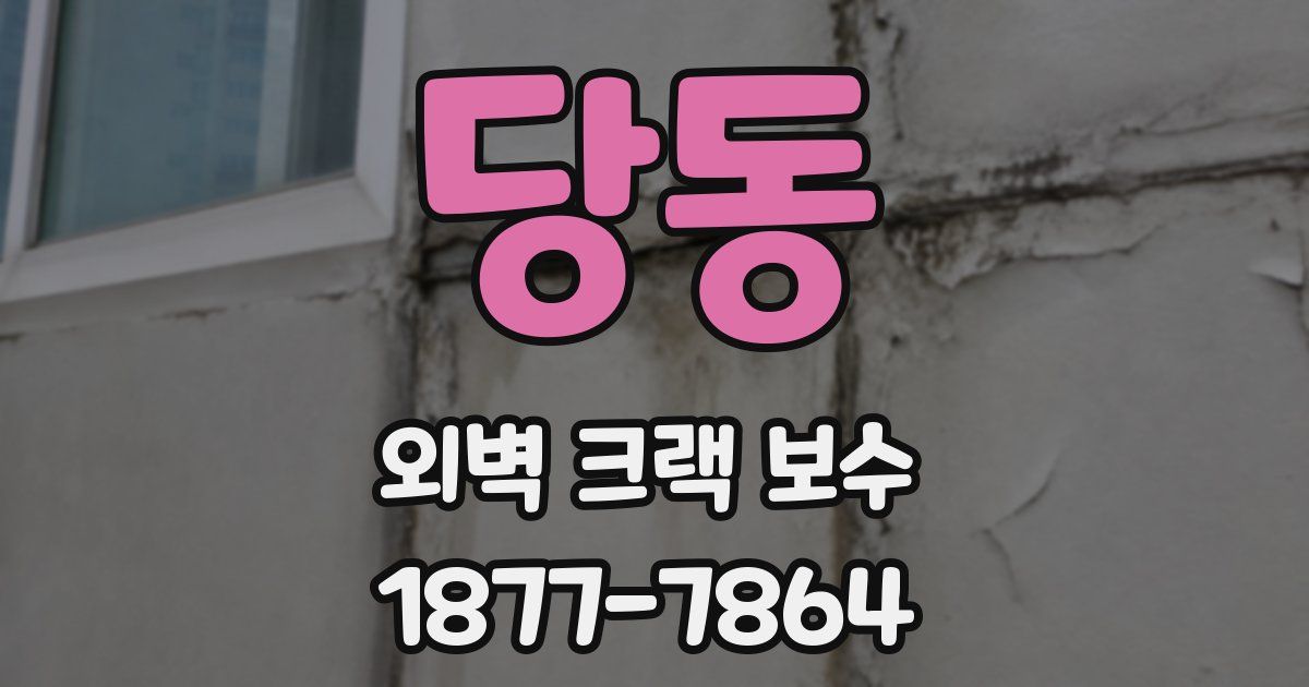 당동 외벽 크랙 보수