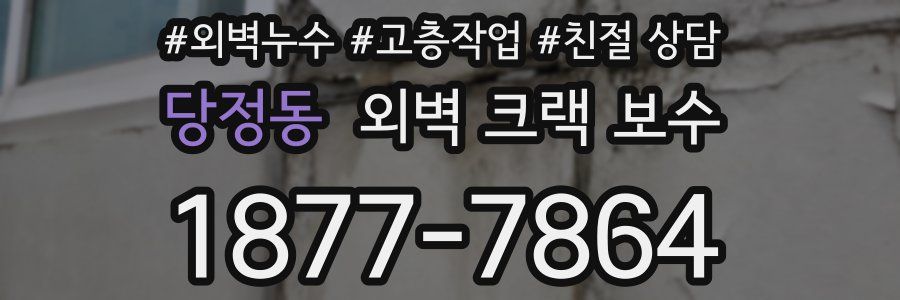 당정동 외벽 크랙 보수