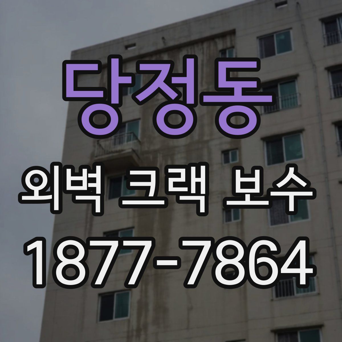 당정동 외벽 크랙 보수