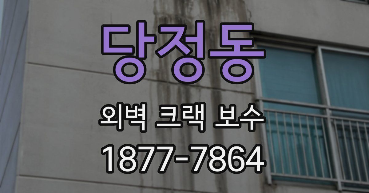 당정동 외벽 크랙 보수