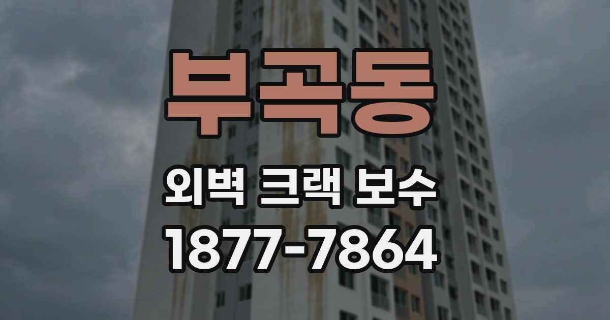부곡동 외벽 크랙 보수