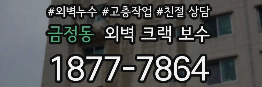 금정동 외벽 크랙 보수