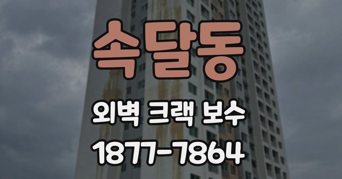 속달동 외벽 크랙 보수
