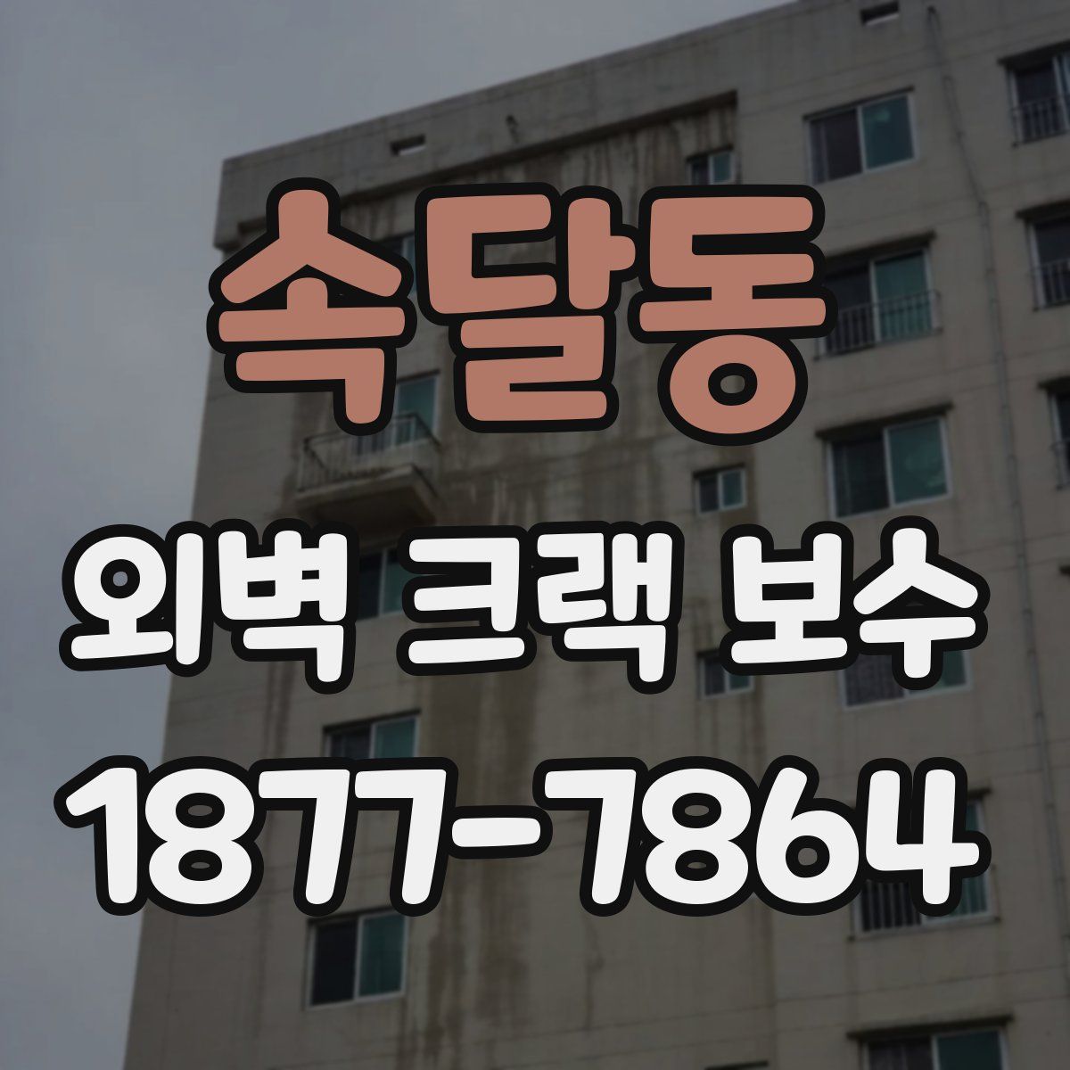 속달동 외벽 크랙 보수