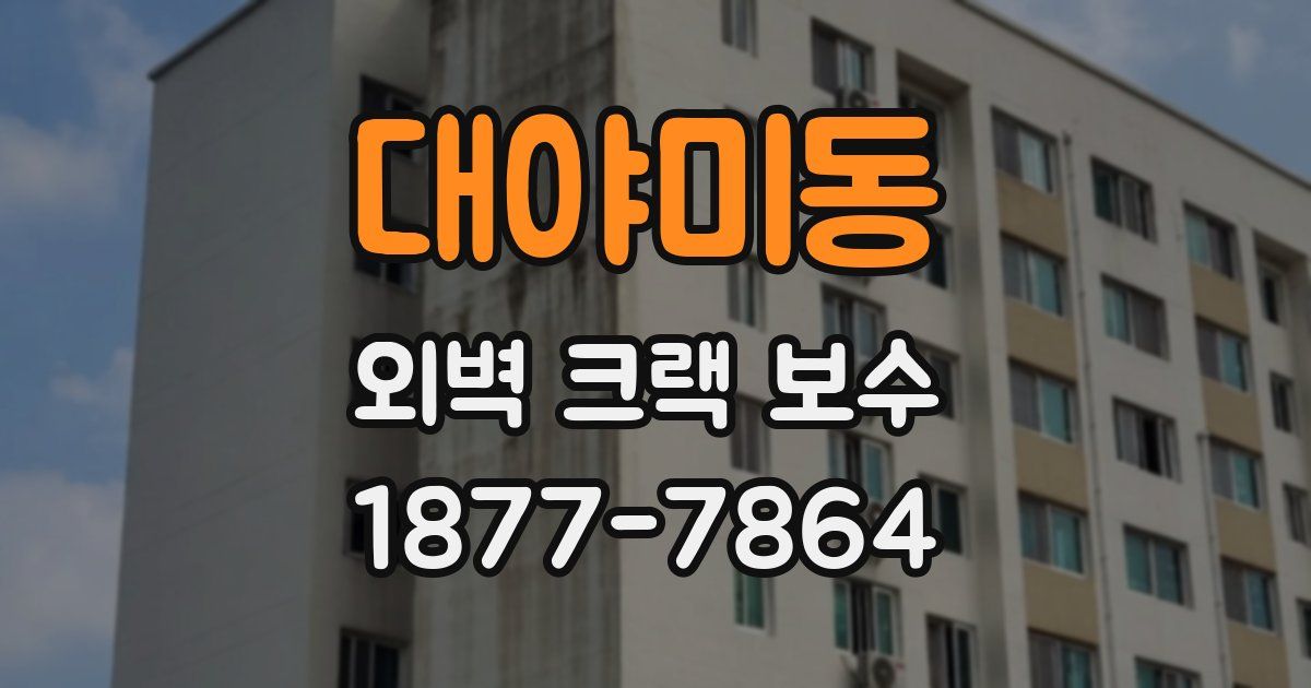 대야미동 외벽 크랙 보수