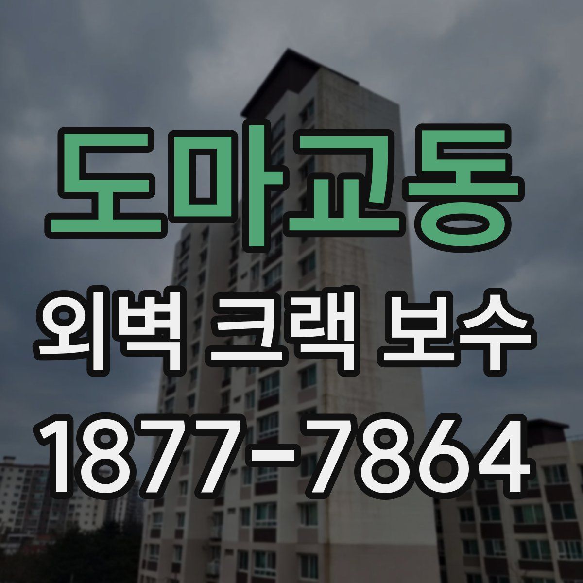 도마교동 외벽 크랙 보수