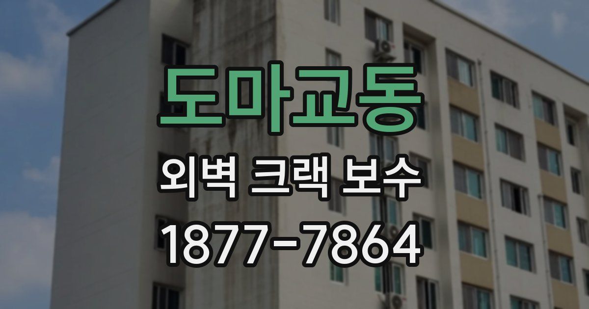 도마교동 외벽 크랙 보수