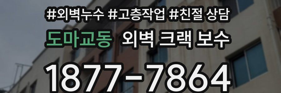 도마교동 외벽 크랙 보수