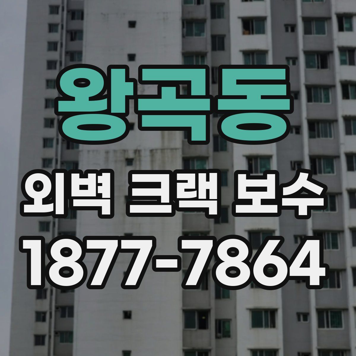 왕곡동 외벽 크랙 보수