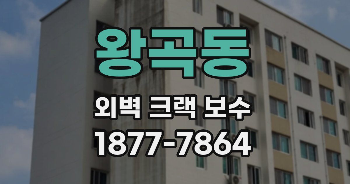 왕곡동 외벽 크랙 보수