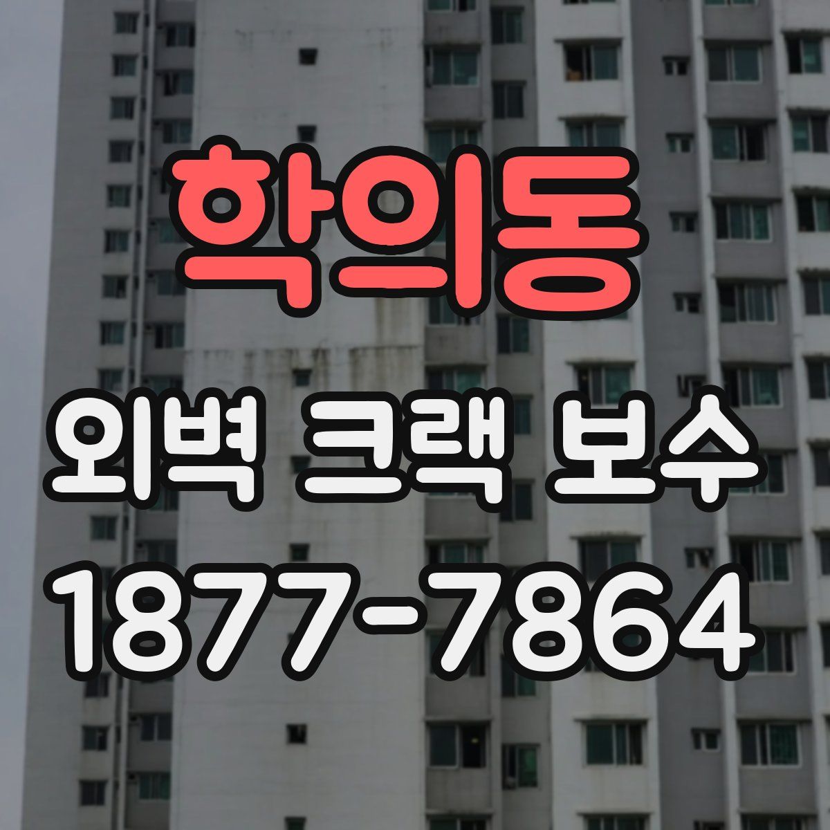 학의동 외벽 크랙 보수