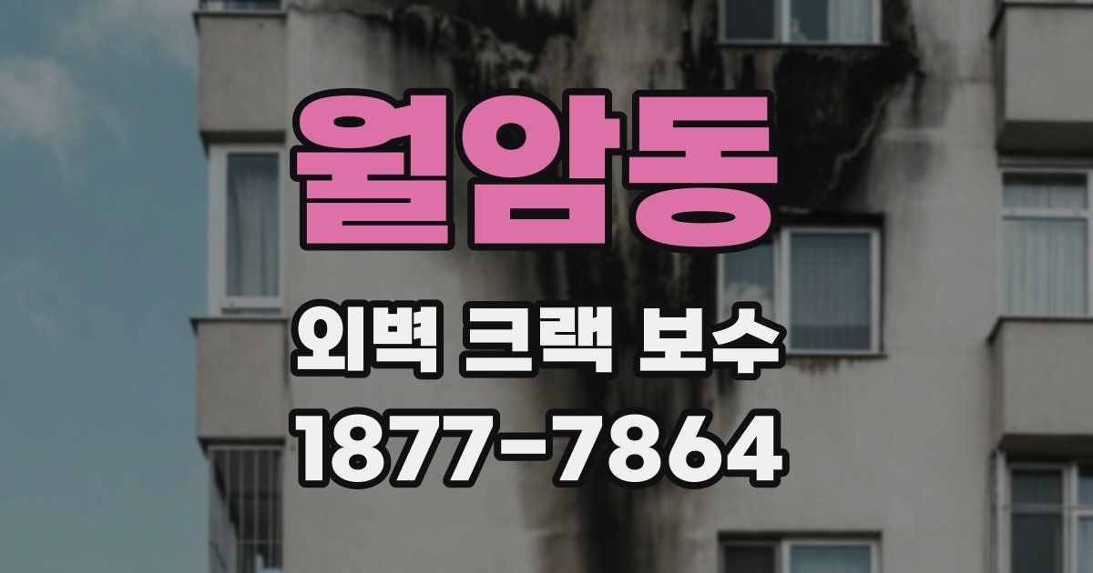 월암동 외벽 크랙 보수