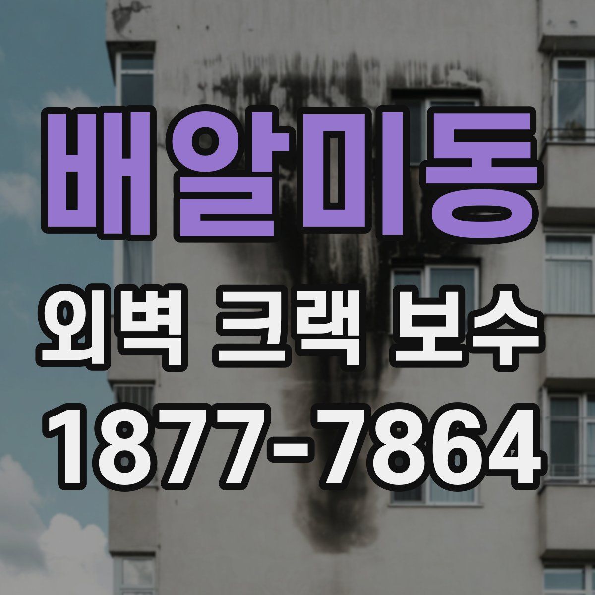 배알미동 외벽 크랙 보수