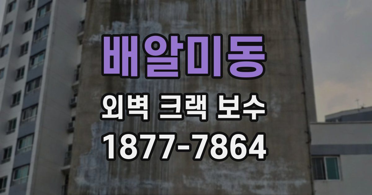 배알미동 외벽 크랙 보수