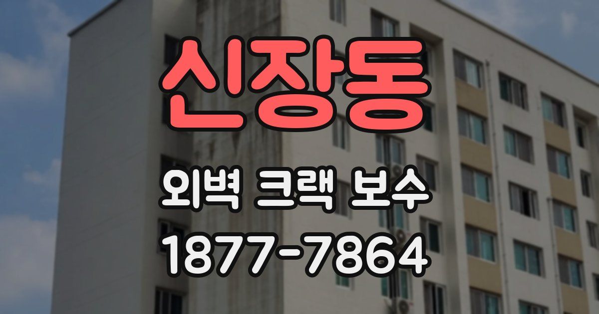 신장동 외벽 크랙 보수