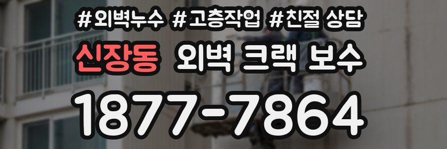 신장동 외벽 크랙 보수