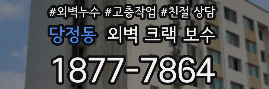 당정동 외벽 크랙 보수