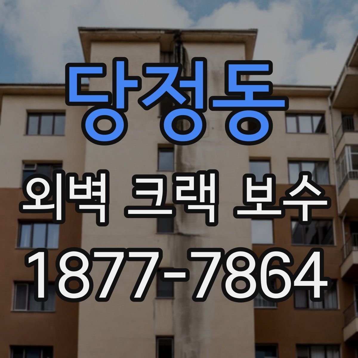당정동 외벽 크랙 보수