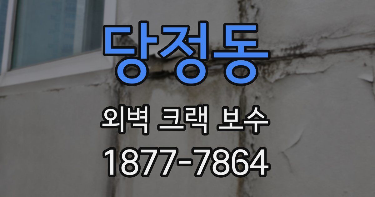 당정동 외벽 크랙 보수