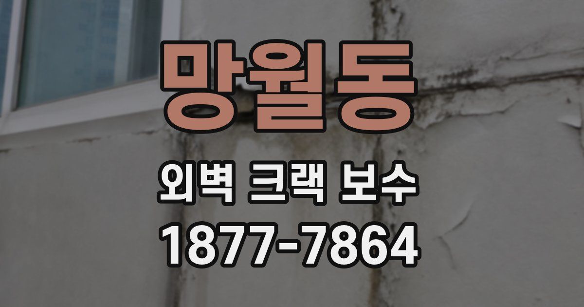 망월동 외벽 크랙 보수