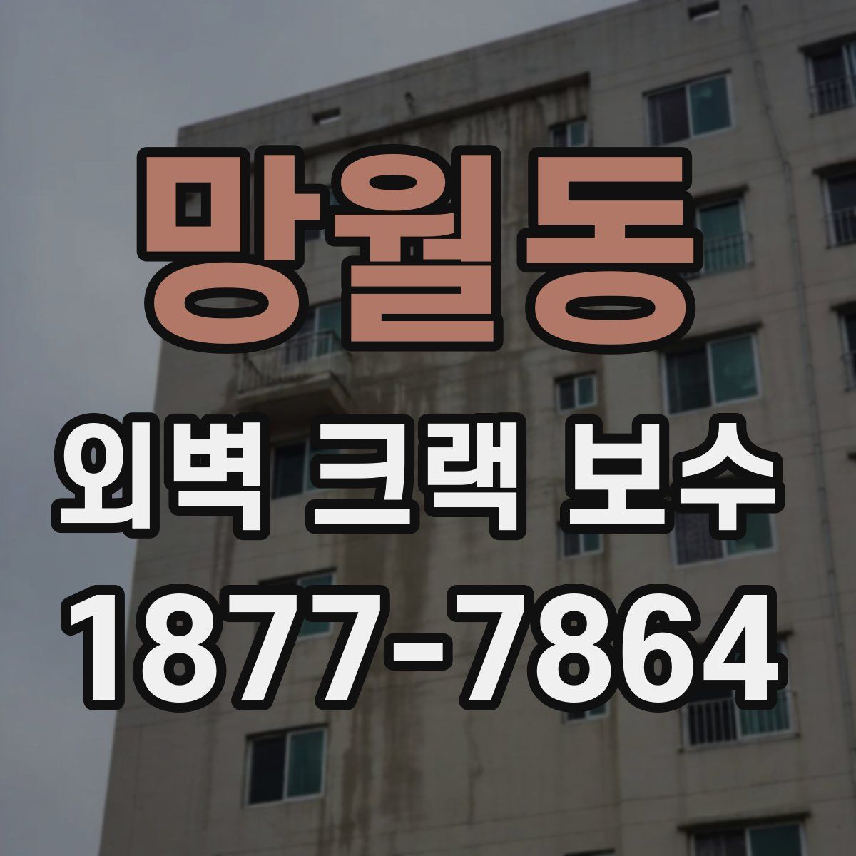 망월동 외벽 크랙 보수