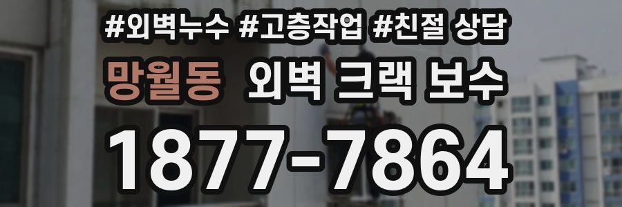망월동 외벽 크랙 보수