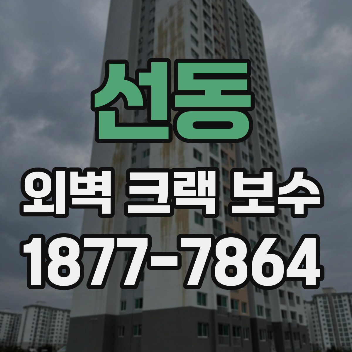 선동 외벽 크랙 보수