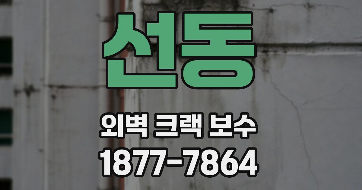 선동 외벽 크랙 보수