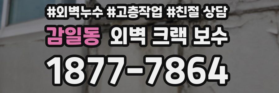 감일동 외벽 크랙 보수
