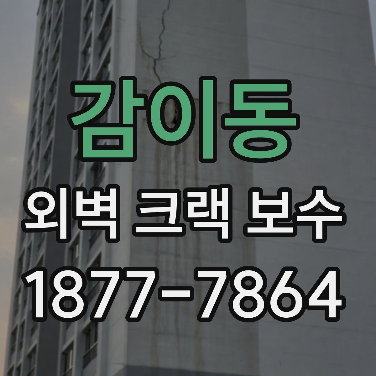 감이동 외벽 크랙 보수