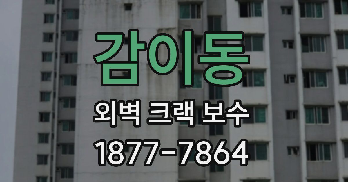 감이동 외벽 크랙 보수