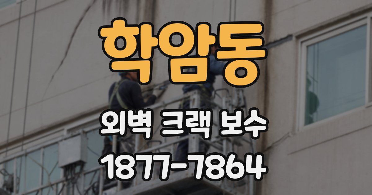 학암동 외벽 크랙 보수