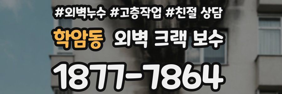 학암동 외벽 크랙 보수