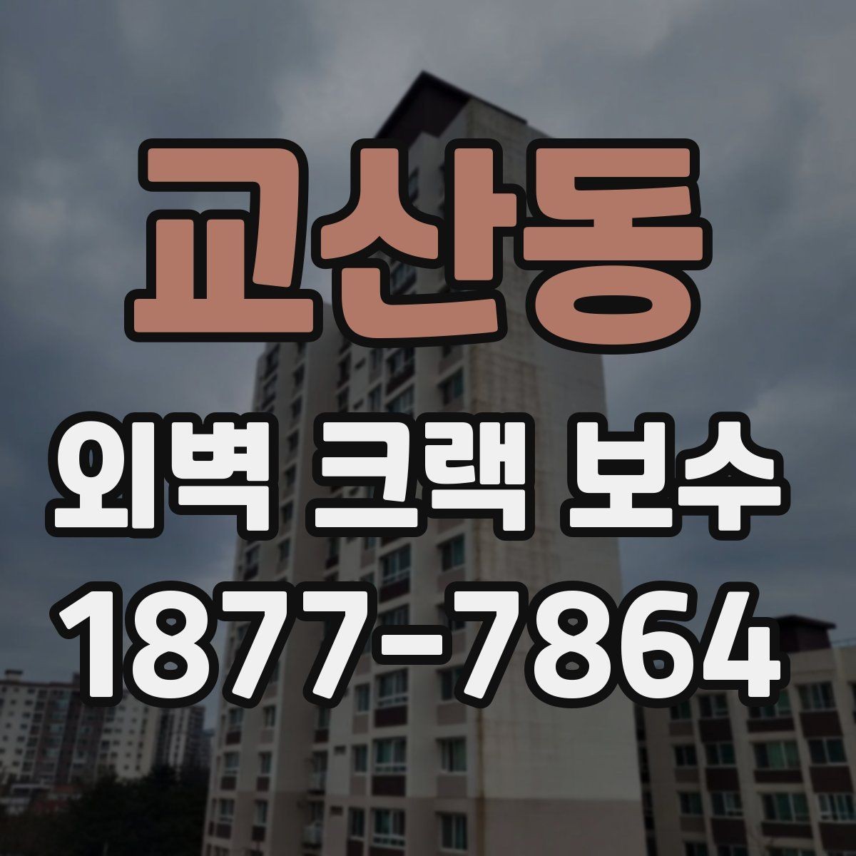 교산동 외벽 크랙 보수 시공 전 현장 상태 확인 과정