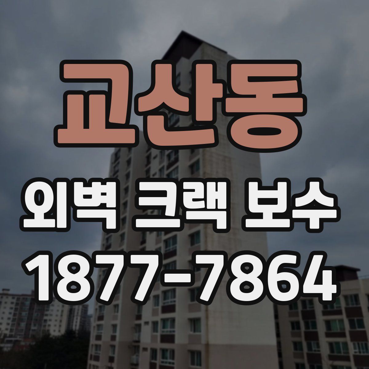 교산동 외벽 크랙 보수