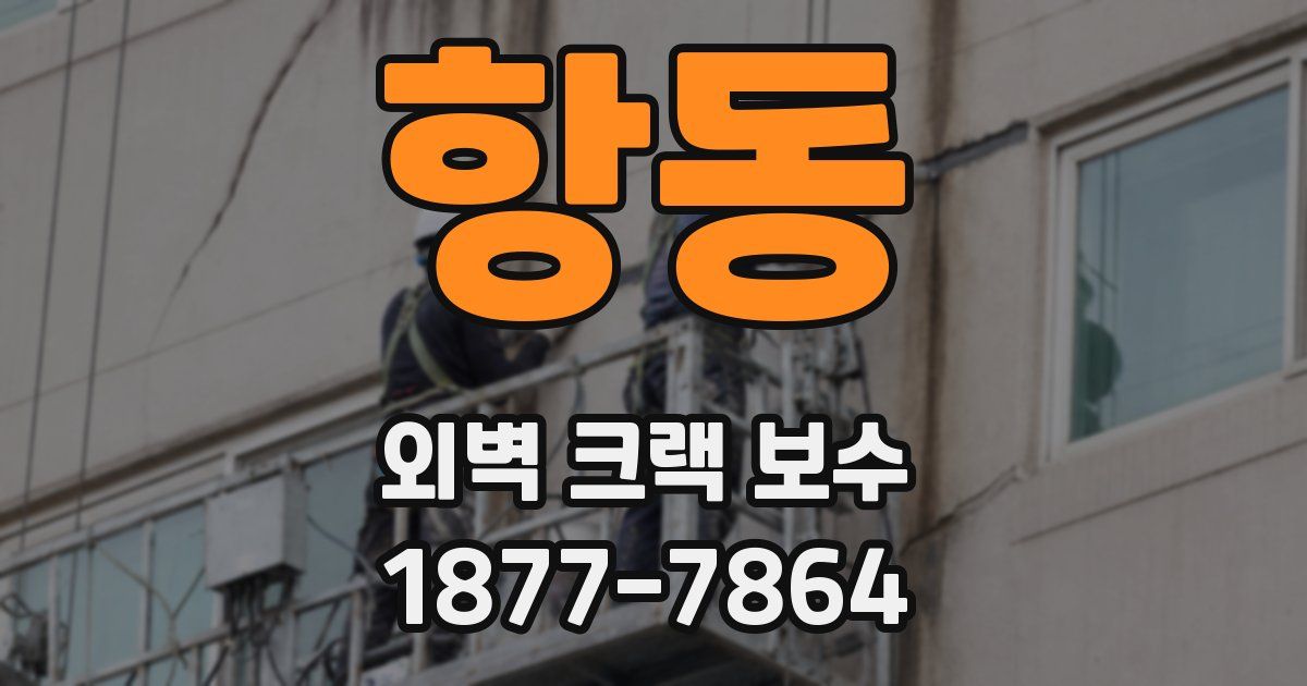 항동 외벽 크랙 보수