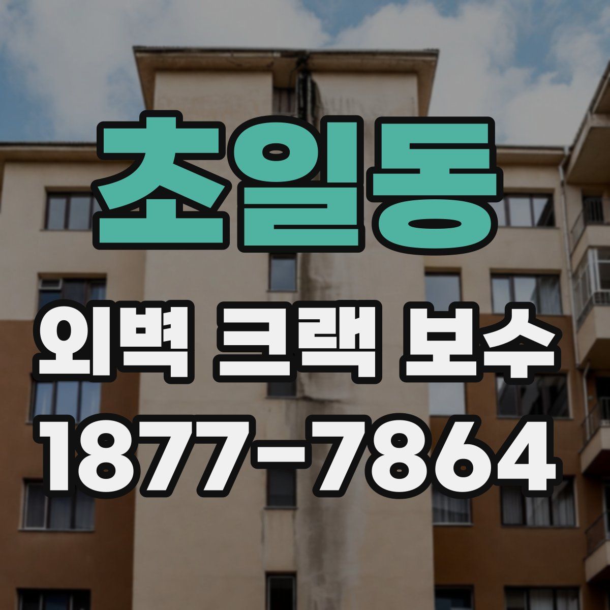 초일동 외벽 크랙 보수
