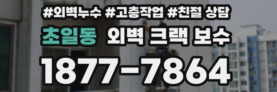 초일동 외벽 크랙 보수