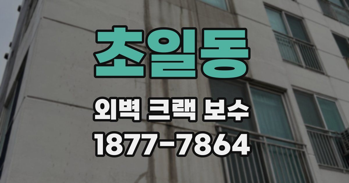 초일동 외벽 크랙 보수