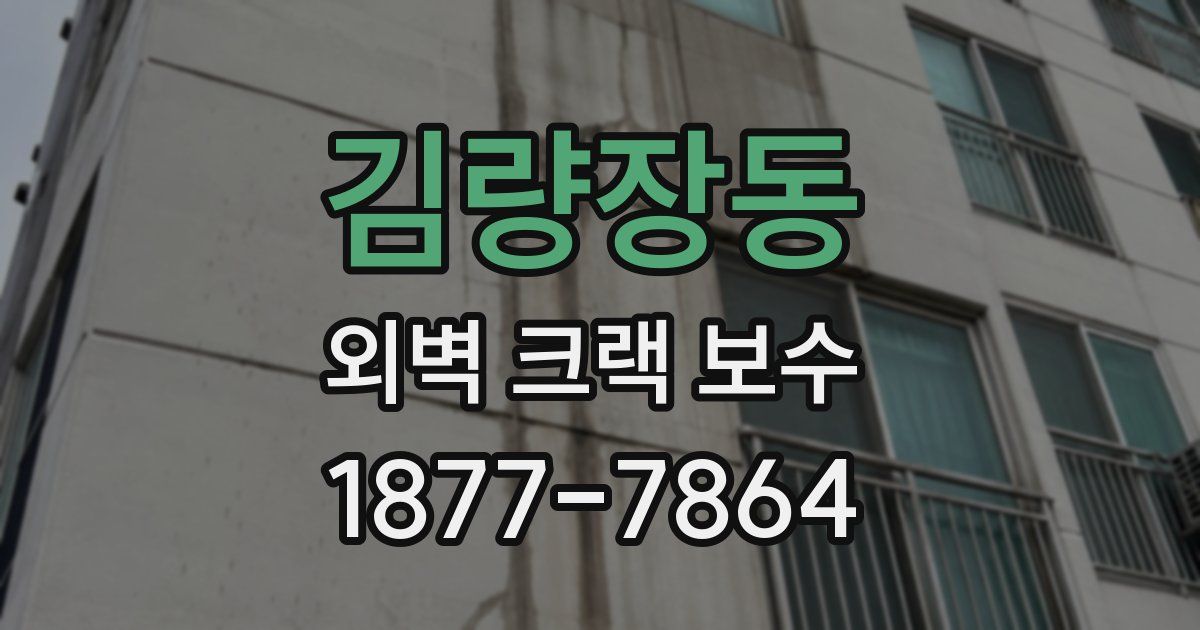 김량장동 외벽 크랙 보수