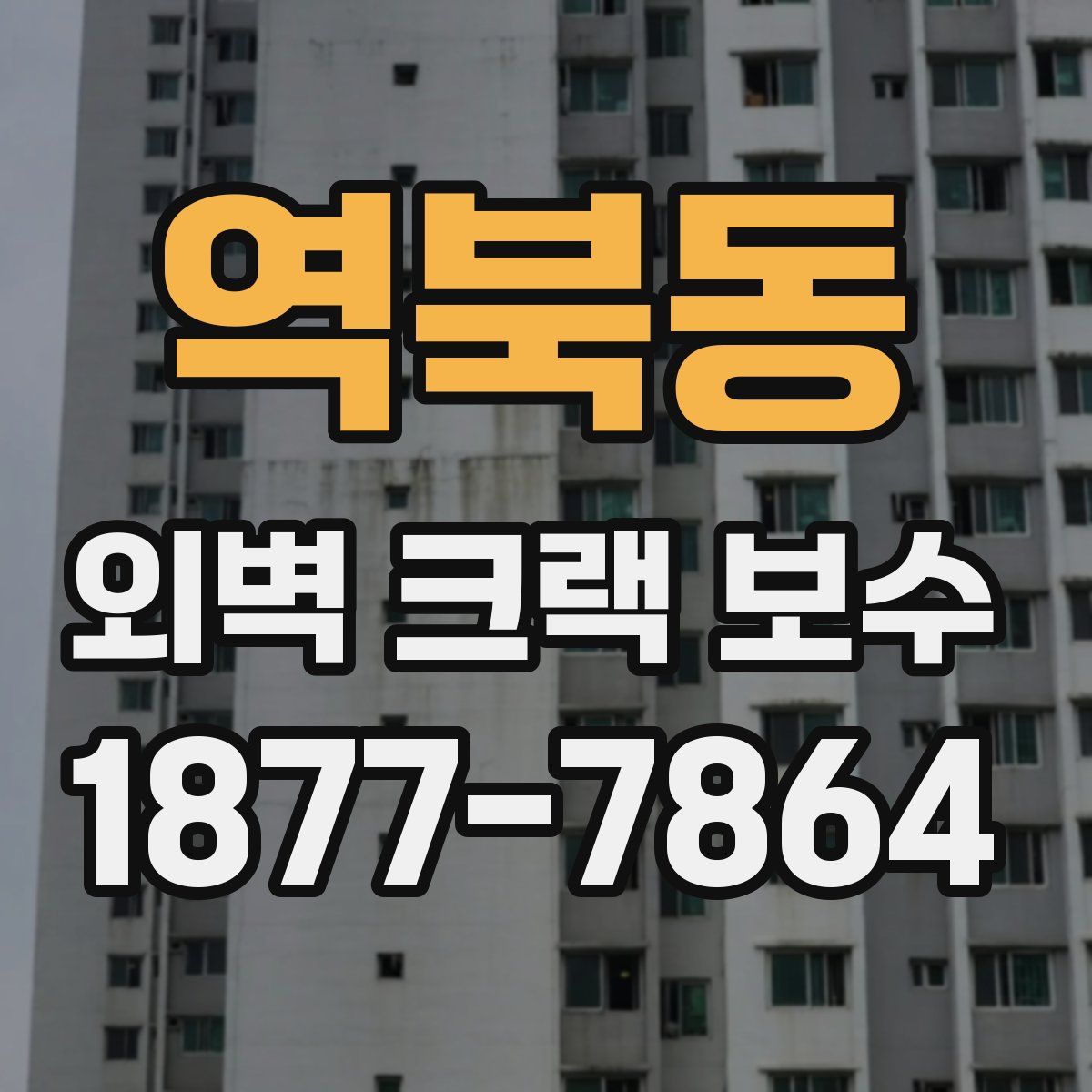 역북동 외벽 크랙 보수