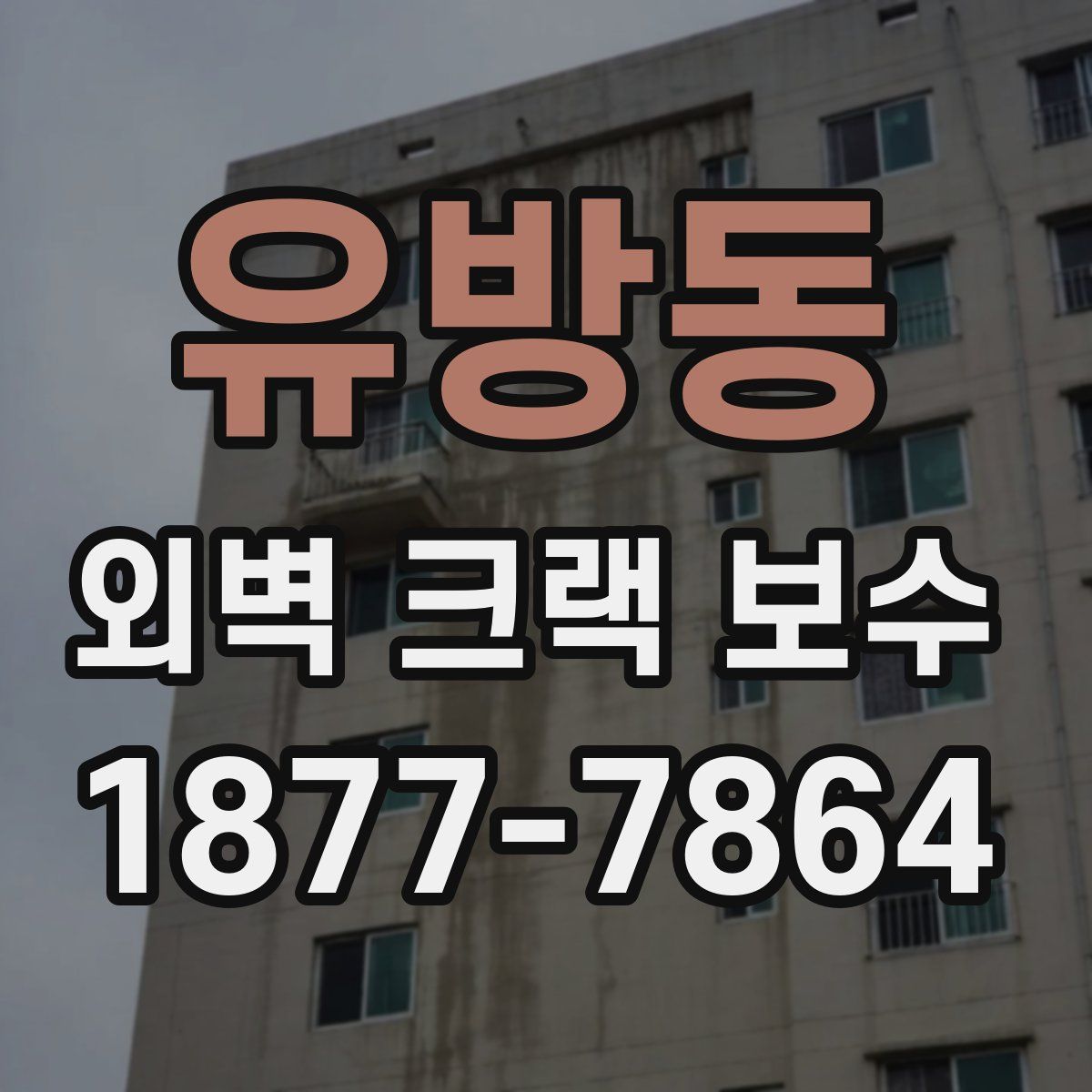 유방동 외벽 크랙 보수