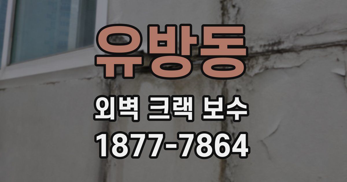 유방동 외벽 크랙 보수
