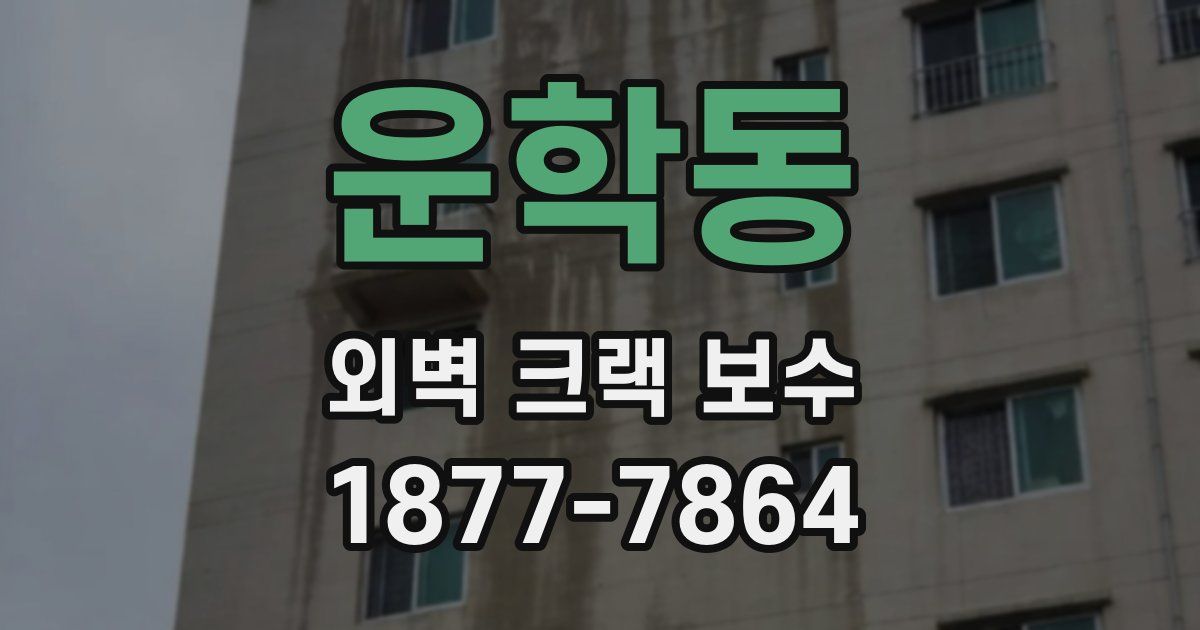 운학동 외벽 크랙 보수