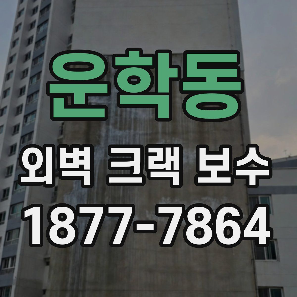 운학동 외벽 크랙 보수