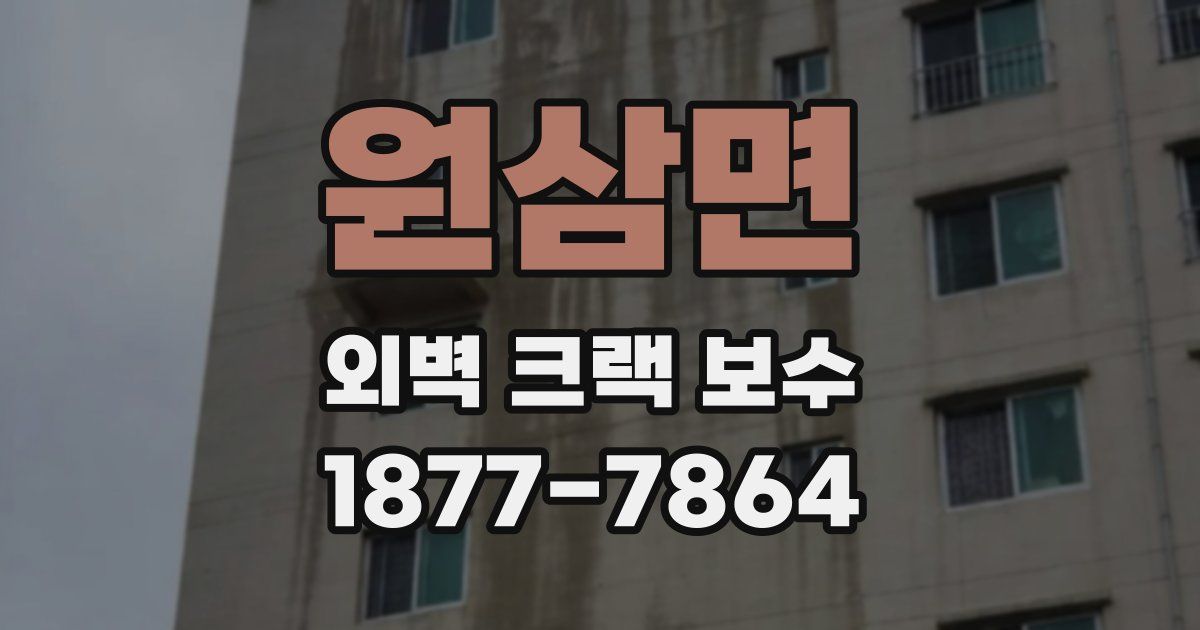 원삼면 외벽 크랙 보수